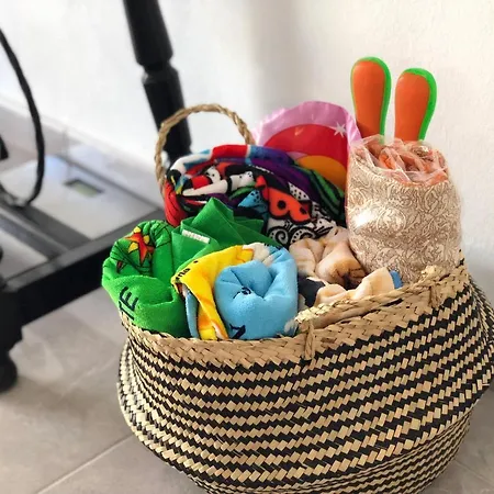 Casa Rene - Sunny Near And Center