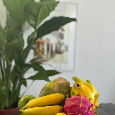 Casa Rene - Sunny Near And Center דירה